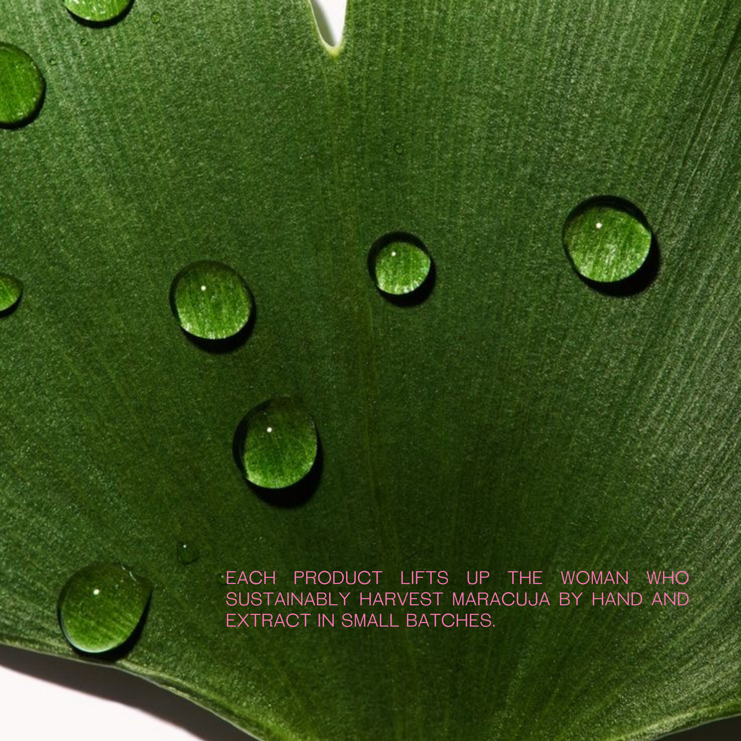 Bunny Niacinamide Maracuja Hyaluronic Oil Serum